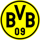 666c1ef596d095c469798572_bvb_logo